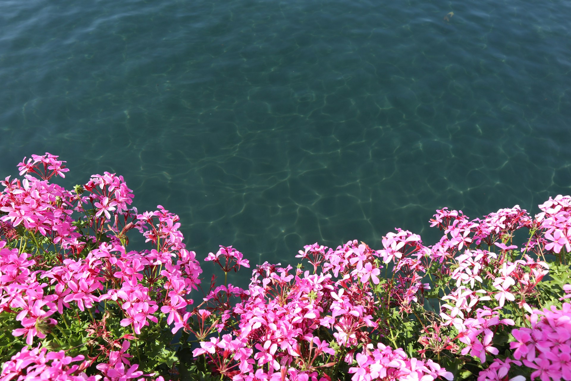 Selvandoria retraite en France